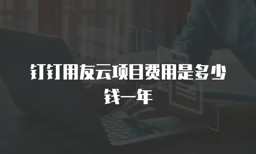 钉钉用友云项目费用是多少钱一年