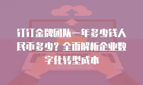钉钉金牌团队一年多少钱人民币多少？全面解析企业数字化转型成本