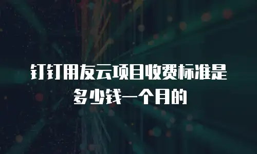 钉钉用友云项目收费标准是多少钱一个月的