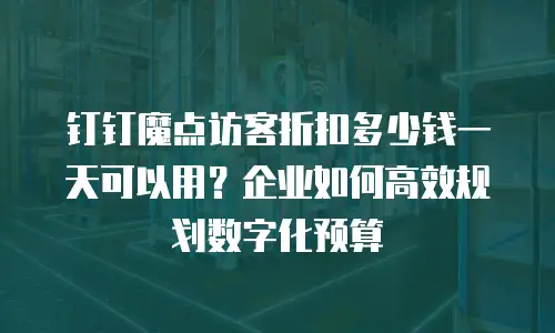 钉钉魔点访客折扣多少钱一天可以用？企业如何高效规划数字化预算