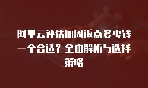 阿里云评估加固返点多少钱一个合适？全面解析与选择策略