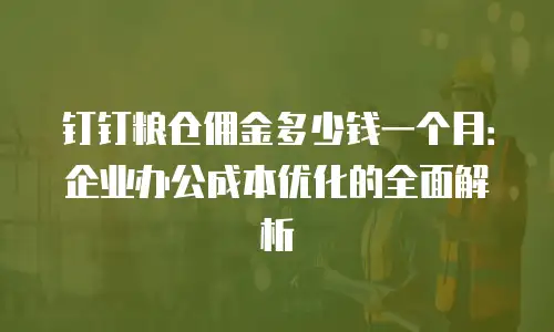 钉钉粮仓佣金多少钱一个月：企业办公成本优化的全面解析