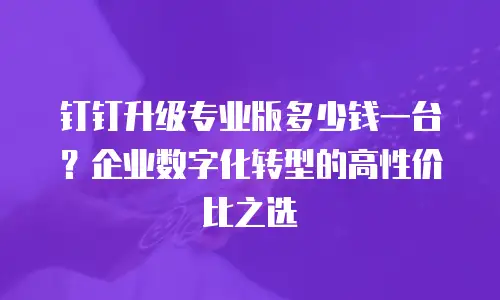 钉钉升级专业版多少钱一台？企业数字化转型的高性价比之选
