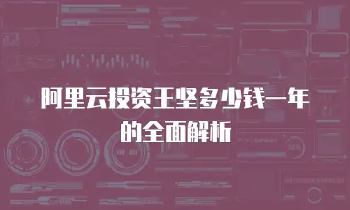阿里云投资王坚多少钱一年的全面解析