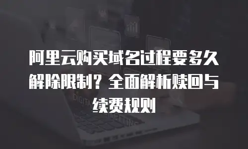 阿里云购买域名过程要多久解除限制？全面解析赎回与续费规则
