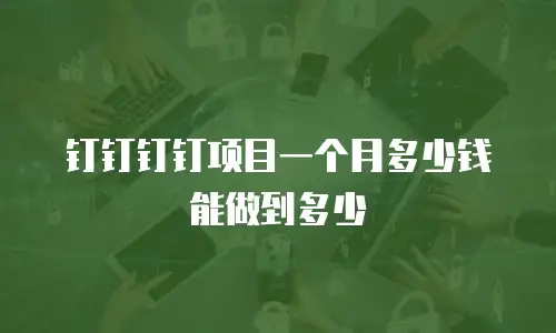 钉钉钉钉项目一个月多少钱能做到多少
