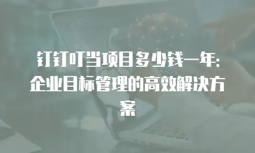 钉钉叮当项目多少钱一年：企业目标管理的高效解决方案