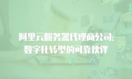 阿里云服务器代理商公司：数字化转型的可靠伙伴