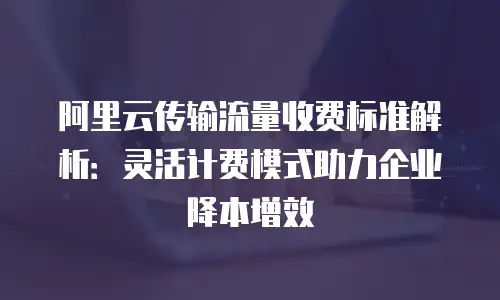 阿里云传输流量收费标准解析：灵活计费模式助力企业降本增效