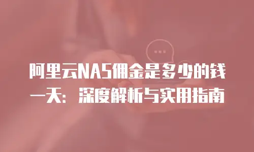 阿里云NAS佣金是多少的钱一天：深度解析与实用指南