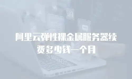 阿里云弹性裸金属服务器续费多少钱一个月