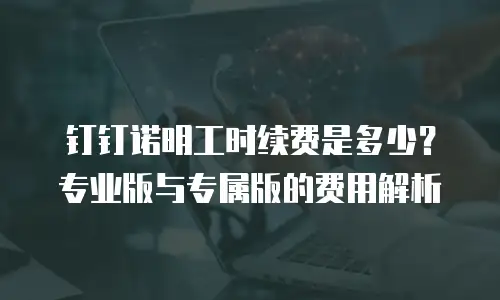 钉钉诺明工时续费是多少？专业版与专属版的费用解析