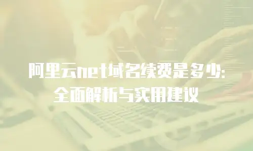 阿里云net域名续费是多少：全面解析与实用建议