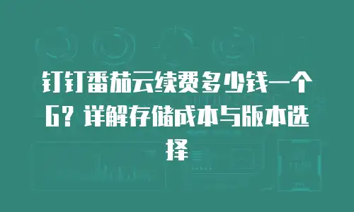 钉钉番茄云续费多少钱一个G？详解存储成本与版本选择