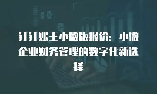 钉钉账王小微版报价：小微企业财务管理的数字化新选择