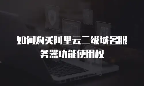 如何购买阿里云二级域名服务器功能使用权