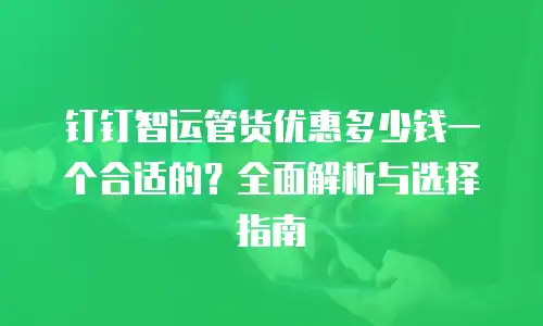 钉钉智运管货优惠多少钱一个合适的？全面解析与选择指南