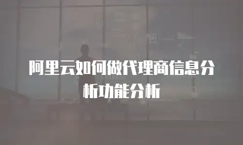 阿里云如何做代理商信息分析功能分析
