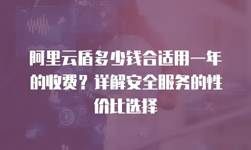 阿里云盾多少钱合适用一年的收费？详解安全服务的性价比选择
