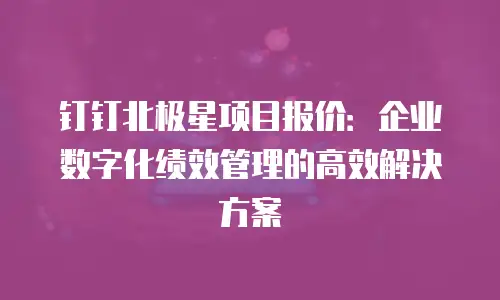 钉钉北极星项目报价：企业数字化绩效管理的高效解决方案