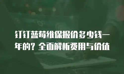 钉钉蓝莓维保报价多少钱一年的？全面解析费用与价值