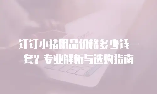 钉钉小猪用品价格多少钱一套？专业解析与选购指南