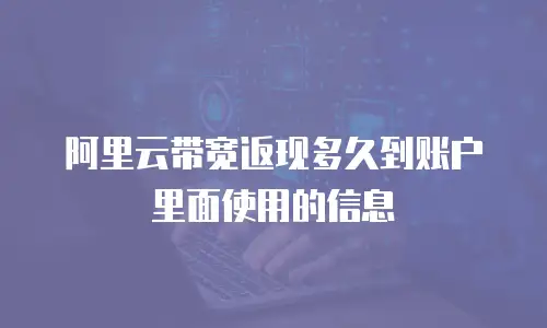 阿里云带宽返现多久到账户里面使用的信息