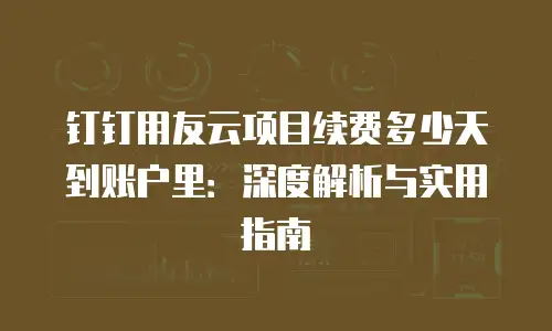 钉钉用友云项目续费多少天到账户里：深度解析与实用指南