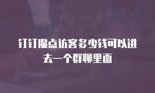 钉钉魔点访客多少钱可以进去一个群聊里面