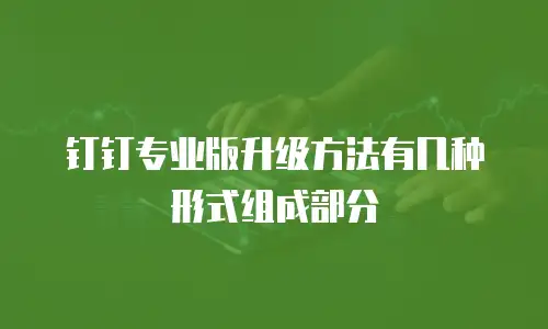 钉钉专业版升级方法有几种形式组成部分