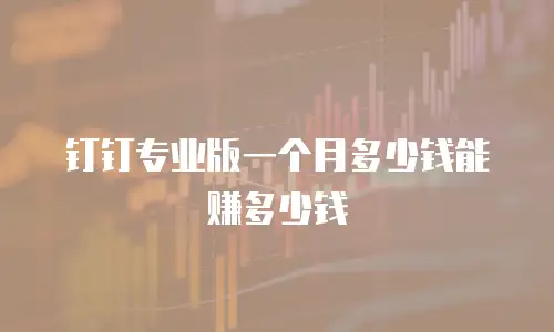钉钉专业版一个月多少钱能赚多少钱