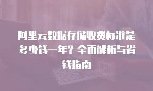 阿里云数据存储收费标准是多少钱一年？全面解析与省钱指南