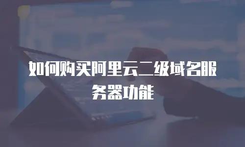 如何购买阿里云二级域名服务器功能
