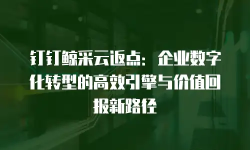 钉钉鲸采云返点：企业数字化转型的高效引擎与价值回报新路径