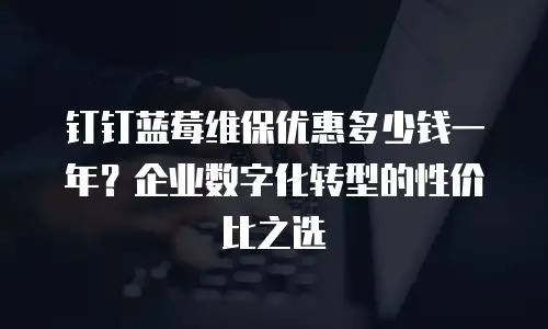 钉钉蓝莓维保优惠多少钱一年？企业数字化转型的性价比之选