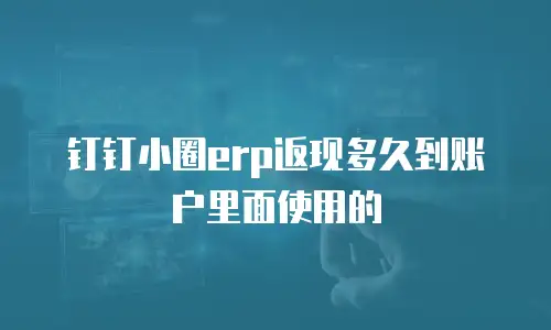 钉钉小圈erp返现多久到账户里面使用的