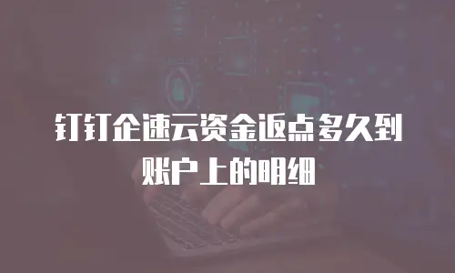 钉钉企速云资金返点多久到账户上的明细