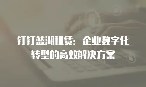 钉钉蓝湖租赁：企业数字化转型的高效解决方案