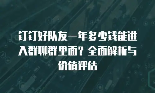 钉钉好队友一年多少钱能进入群聊群里面？全面解析与价值评估