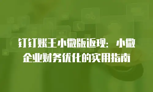 钉钉账王小微版返现：小微企业财务优化的实用指南