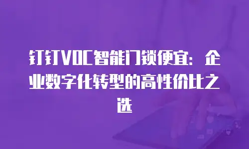 钉钉VOC智能门锁便宜：企业数字化转型的高性价比之选