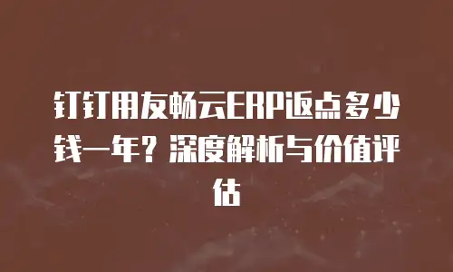 钉钉用友畅云ERP返点多少钱一年？深度解析与价值评估