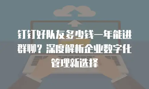钉钉好队友多少钱一年能进群聊？深度解析企业数字化管理新选择