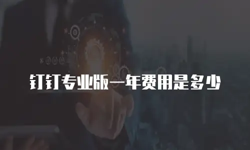 钉钉专业版一年费用是多少