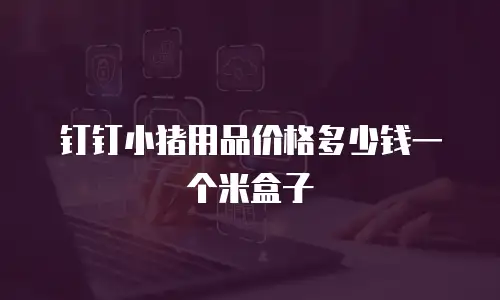 钉钉小猪用品价格多少钱一个米盒子