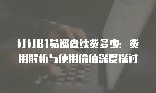 钉钉B1易巡查续费多少：费用解析与使用价值深度探讨
