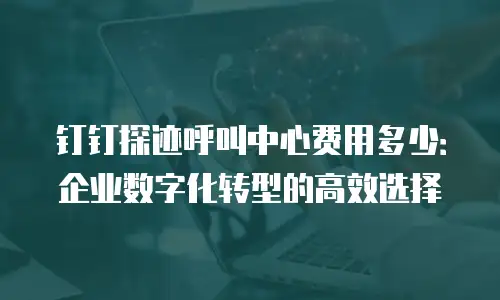 钉钉探迹呼叫中心费用多少：企业数字化转型的高效选择