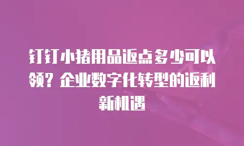 钉钉小猪用品返点多少可以领？企业数字化转型的返利新机遇