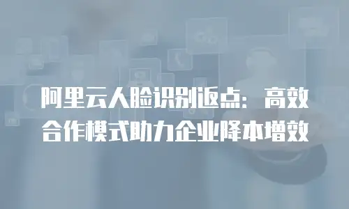 阿里云人脸识别返点：高效合作模式助力企业降本增效