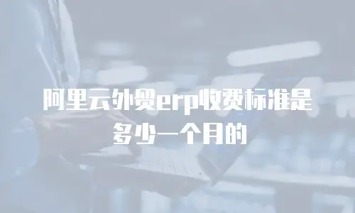 阿里云外贸erp收费标准是多少一个月的